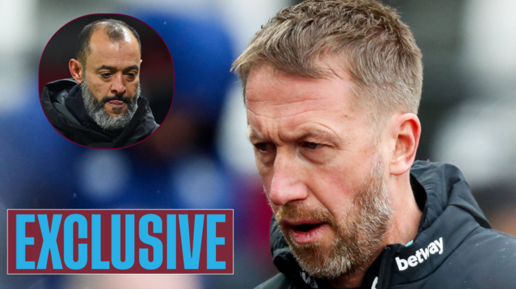 Nuno Espirito Santo, Graham Potter