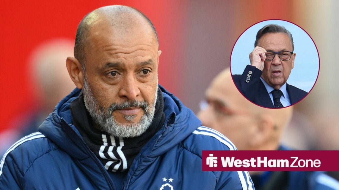 Nuno Espirito Santo looking concerned towards David Sullivan in a circle inset