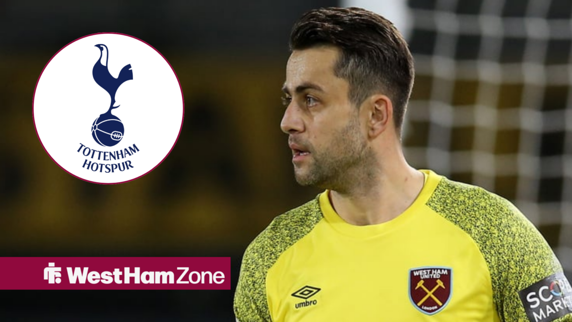 Lukasz Fabianski looking towards a Tottenham badge in a circle inset