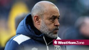 Nuno Espirito Santo looks on worringly